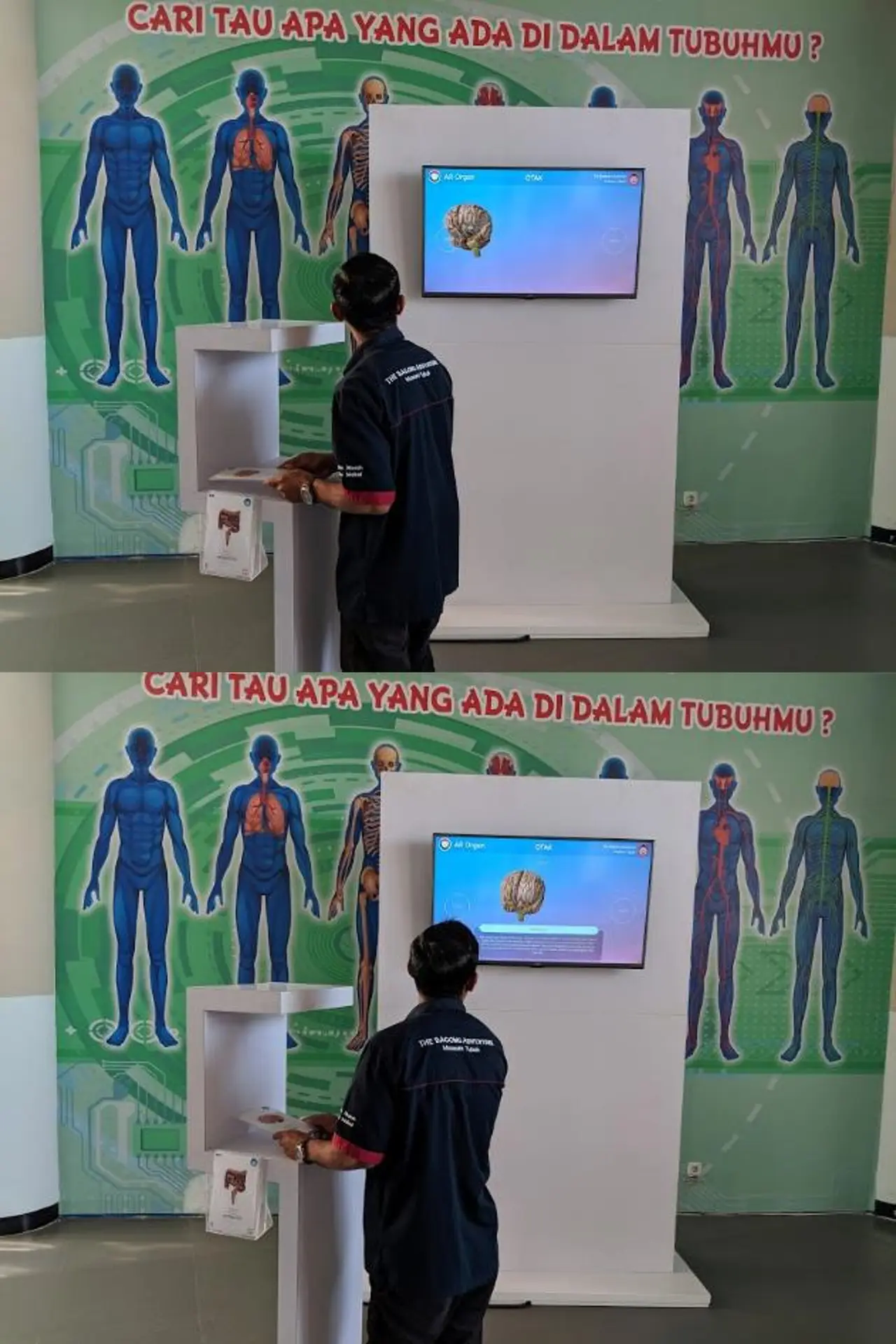 AR Tubuh Manusia